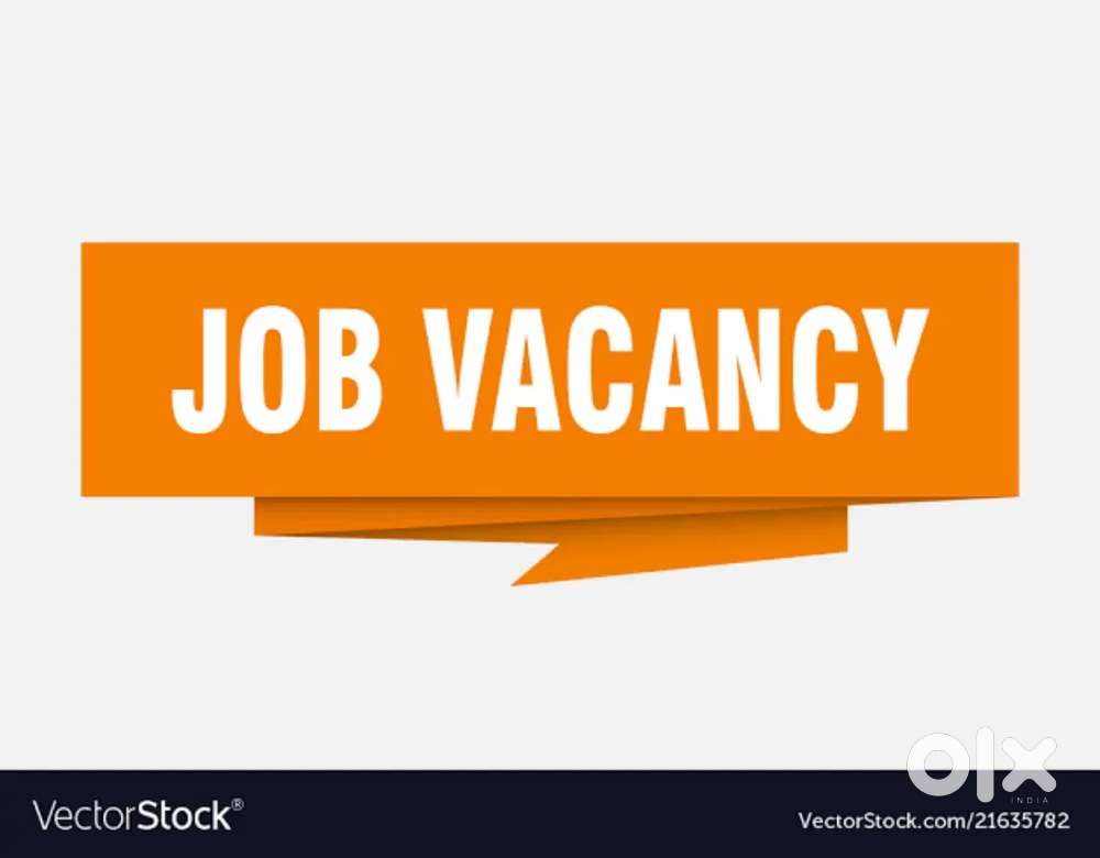 WANTED OFFICE WORK