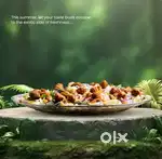 Assistant Cook