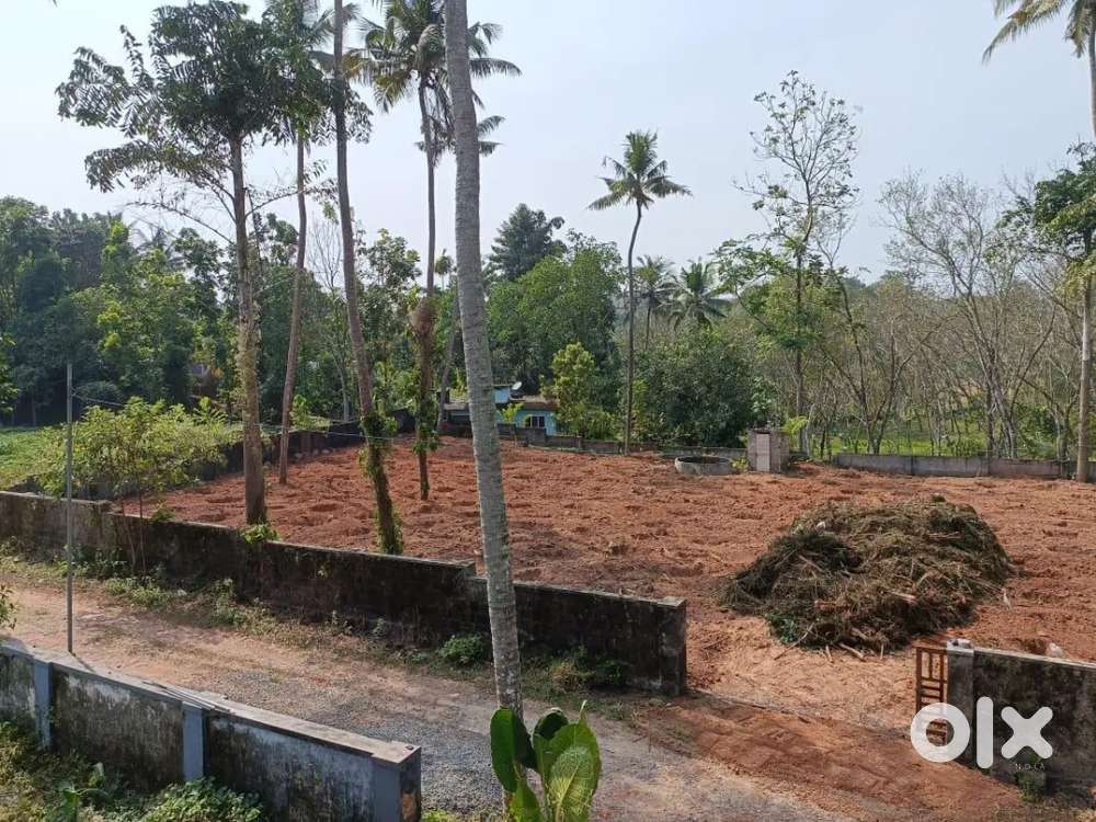 Plote for sale at kolencheri