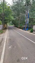 85 Cents RubberPlantationPlot for Sale–Aruvikkara, Ambalathinkala Road