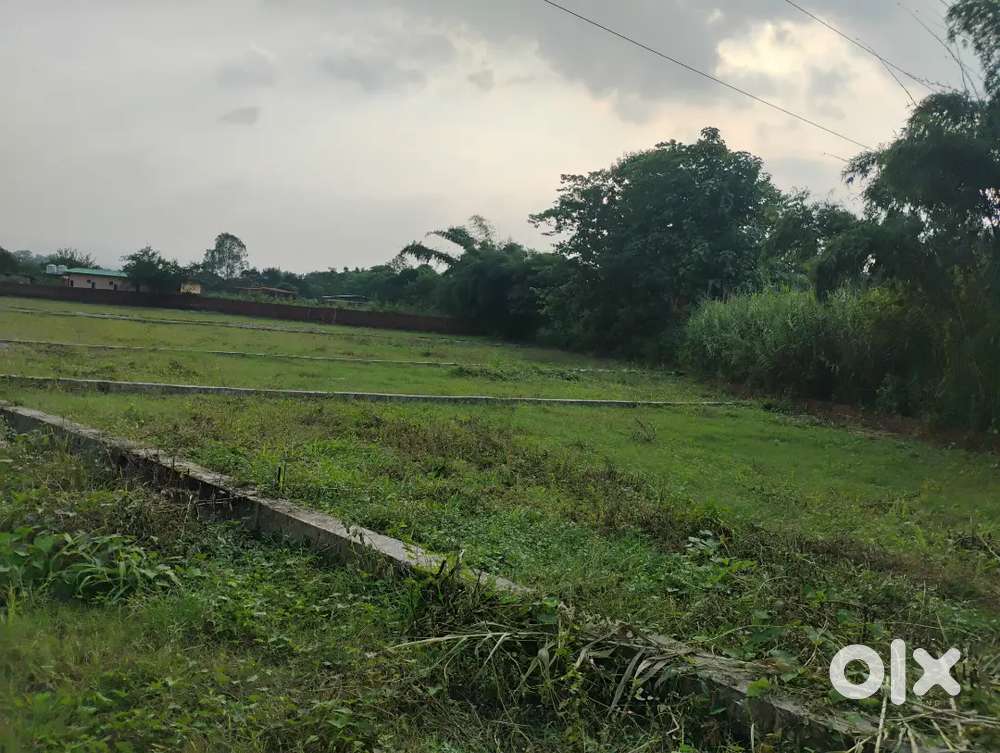 Plot Raja road selaqui near I.P.S school