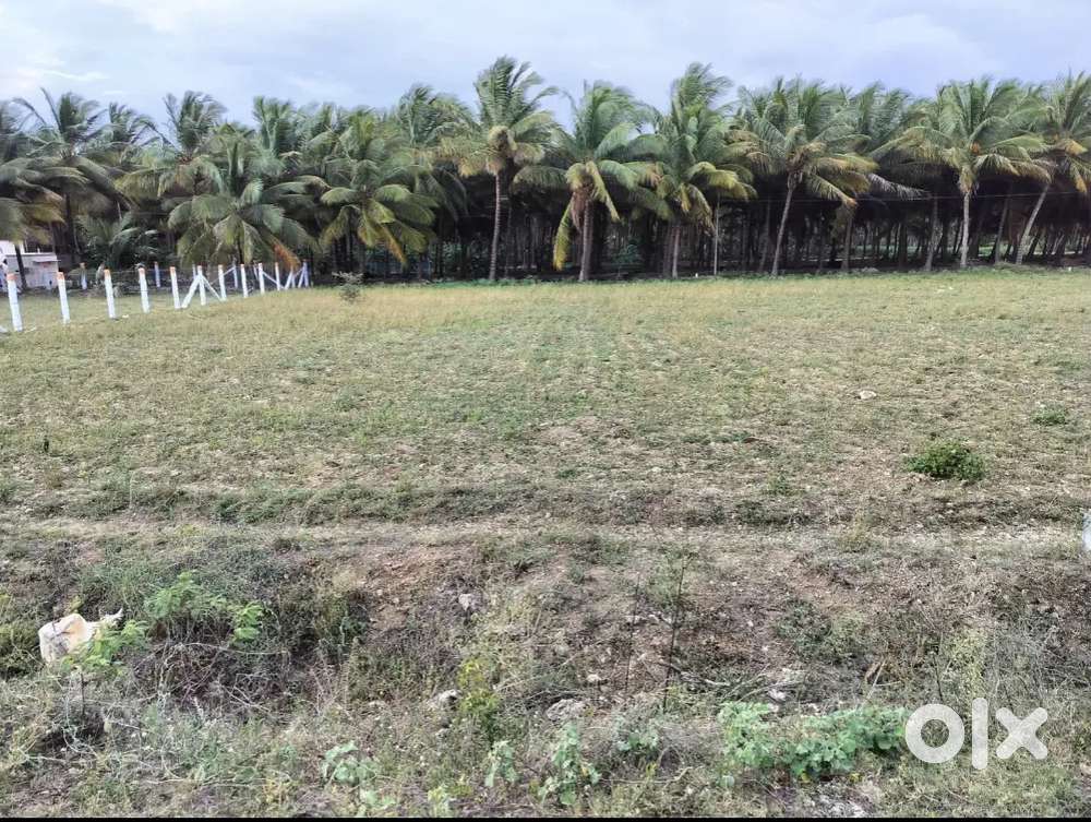 28 Cents Agriculture Land near Poolavadi Palladam