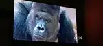 SAMSUNG LED 55 inch ALTRA UHD  HDR 4K   YOUTUBE TV VERY GOOD CONDITION