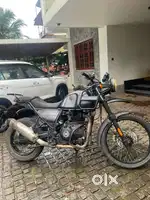 himalayan urgent sale . only serious buyers pls dm.