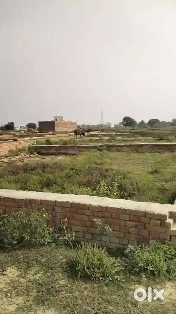 all locations Makan dukan plot available