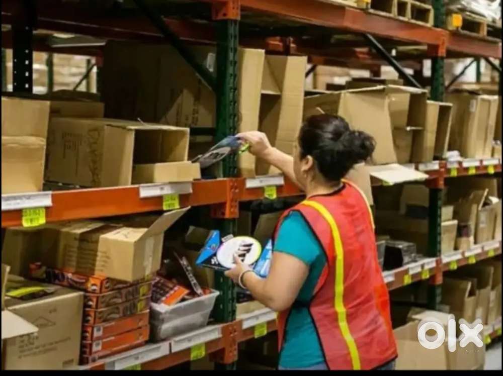 Picker and packer, loader - Thiruvanmiyur (fareena)