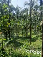10 ACRES AGRICULTURAL LAND
