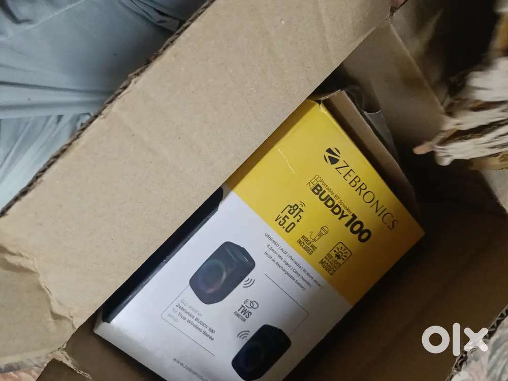 Zebronics speaker