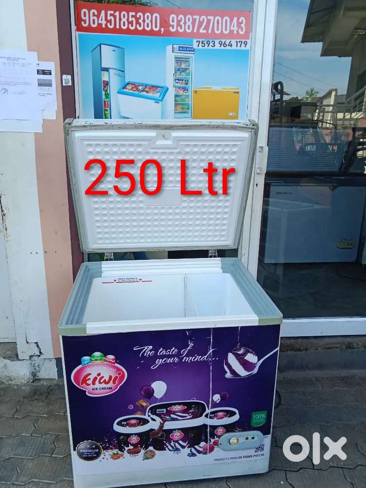 Freezer 250ltr
