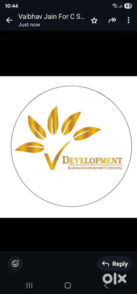 Marketing executive and operations