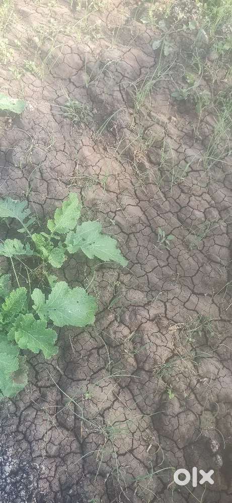 नेवरी फाटा के पास बुदंगाव रोड़ टच