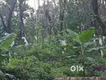 3.1 Acers ,Arivilanjapyil Alakode