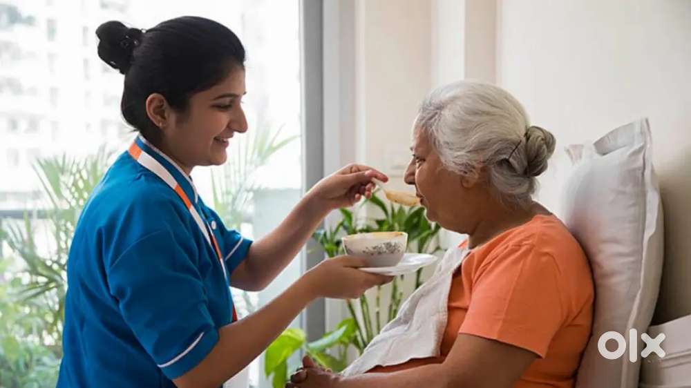 పని మనిషి కావలెను