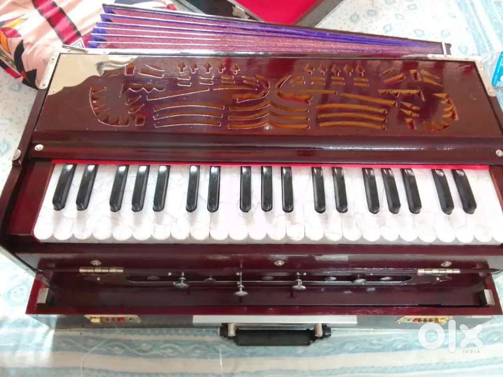 Deb Musical