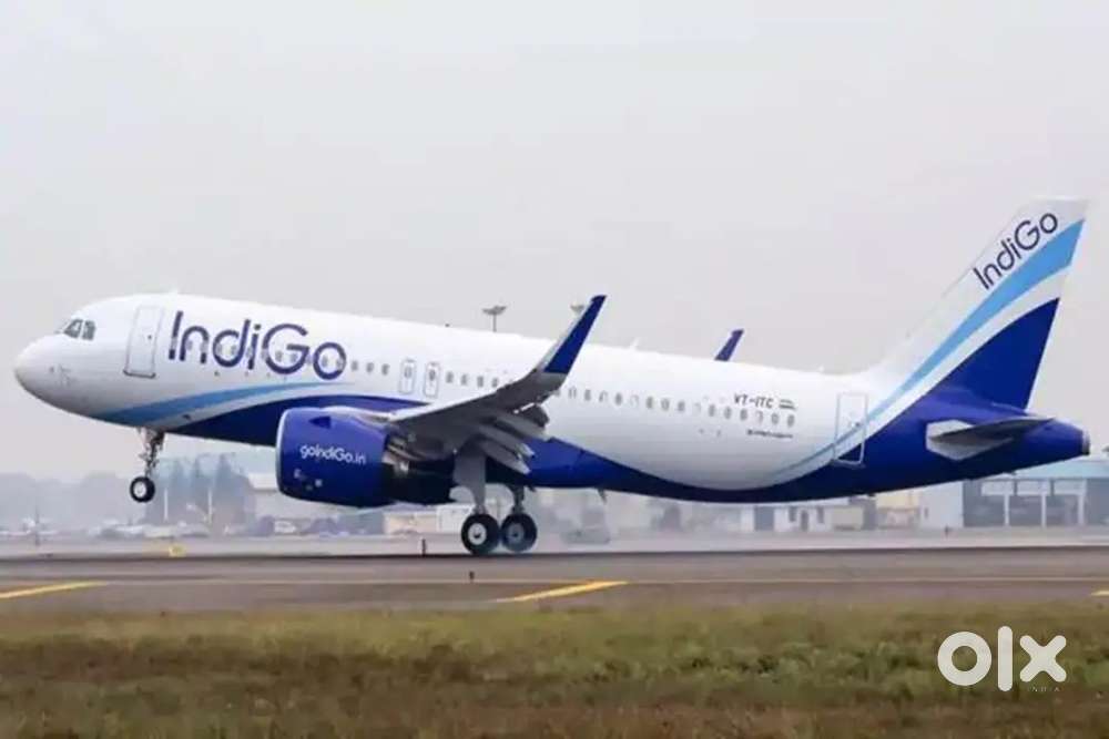 Huge vacancy open for 2025. Airport jobs fast Qualific