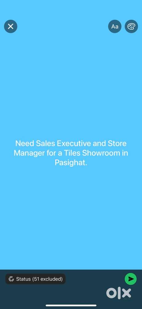 Store manager and sales executive
