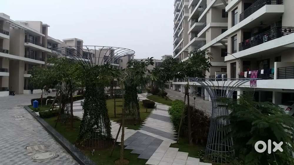 1BHK flat in Amayra Greens phase 2