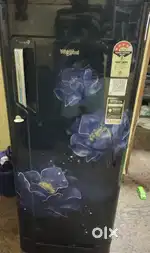 Whirlpool  age 1.8 years