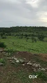 Farm Land For Sale