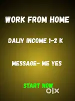 Work From Home  Learn Skills & Earn Online