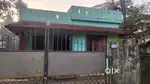 Aluva kadungalloor muppathadom5.5 cent old house