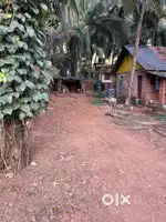 High water