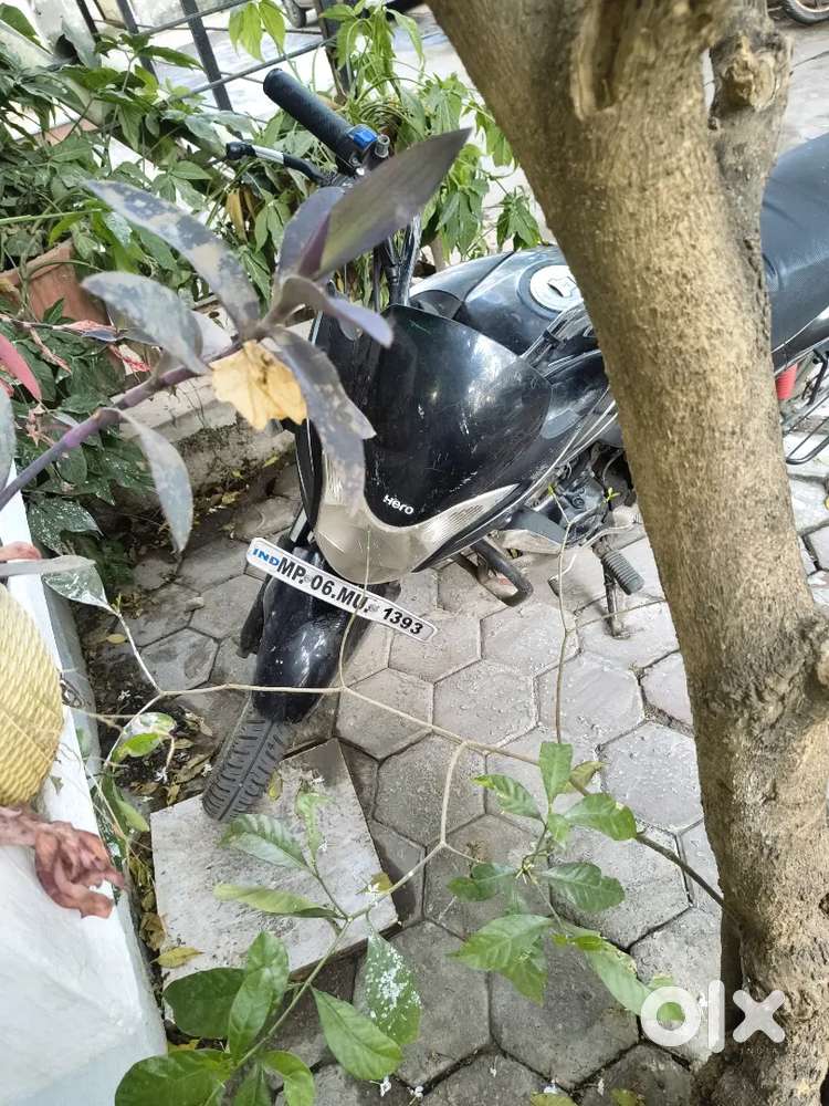 2019 model MP06 Passing