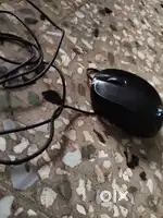 Mouse hp wired