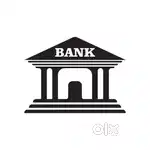 Banking non banking loan collection