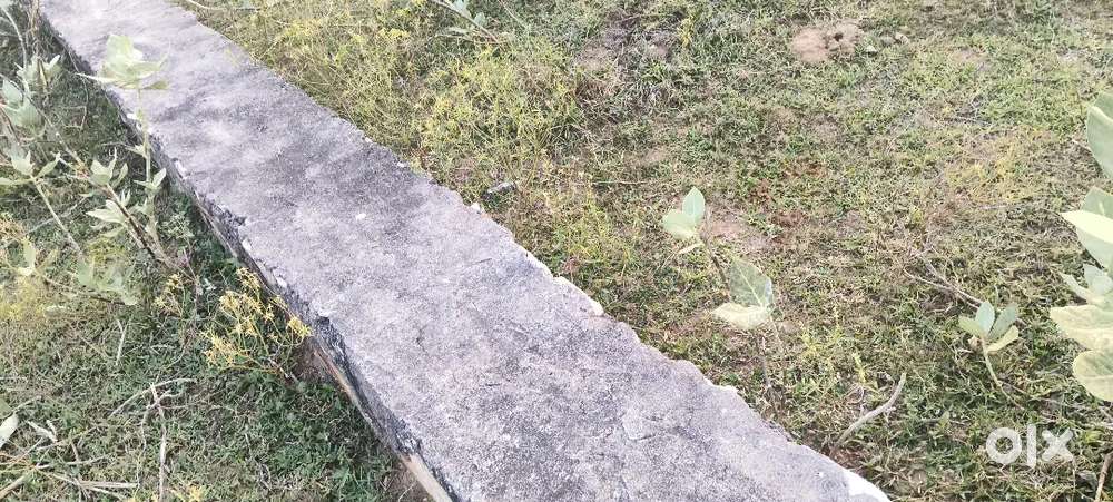 Urgent requirement perfect cook for chinese item