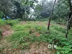 Near global school, Refinery school, FCi oen connectors Thiruvaniyoor