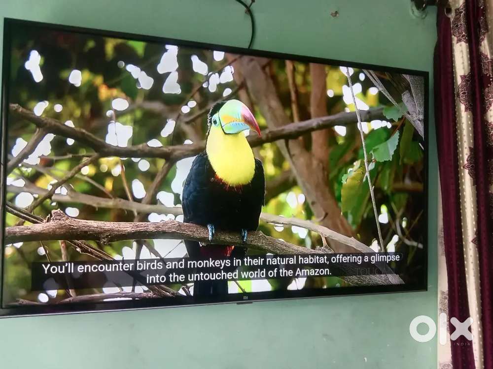 Mi 43 INCH Full ANDROID LED TV