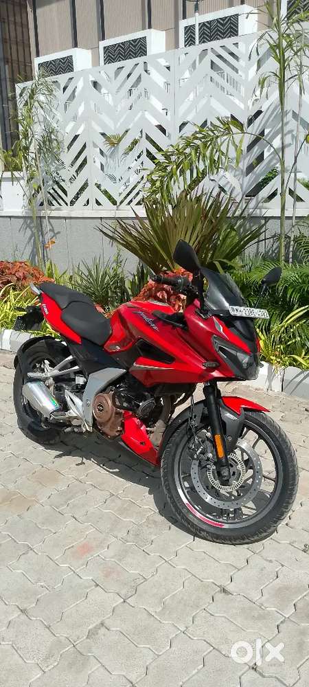 pulsar model 2022 owner 1st