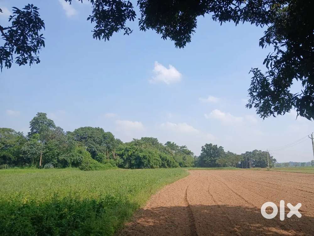 You can open school industry industry factory etc