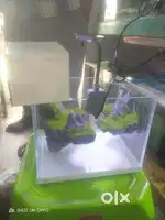 Staf required for aquarium shop