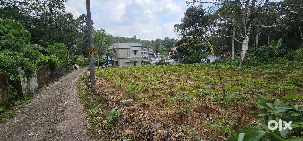 House plot for sale nearest Thrikodithanam changanacherry