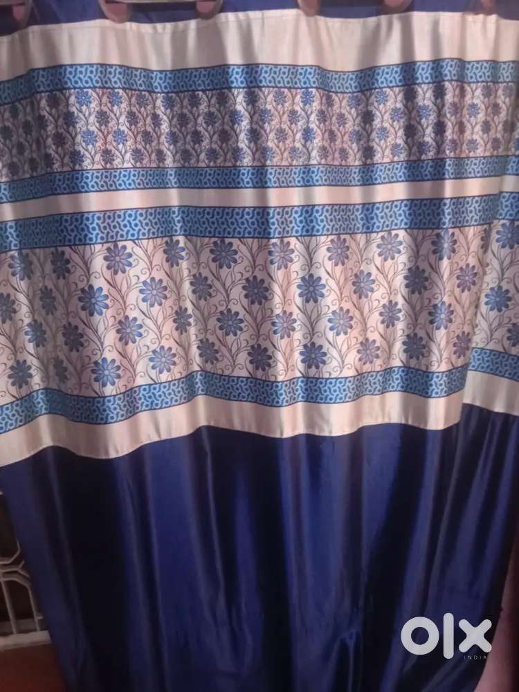 Window curtains