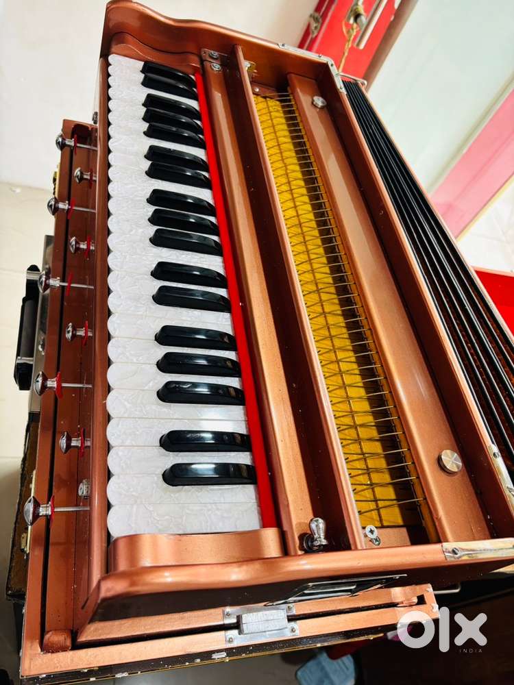 New folding harmoniyam