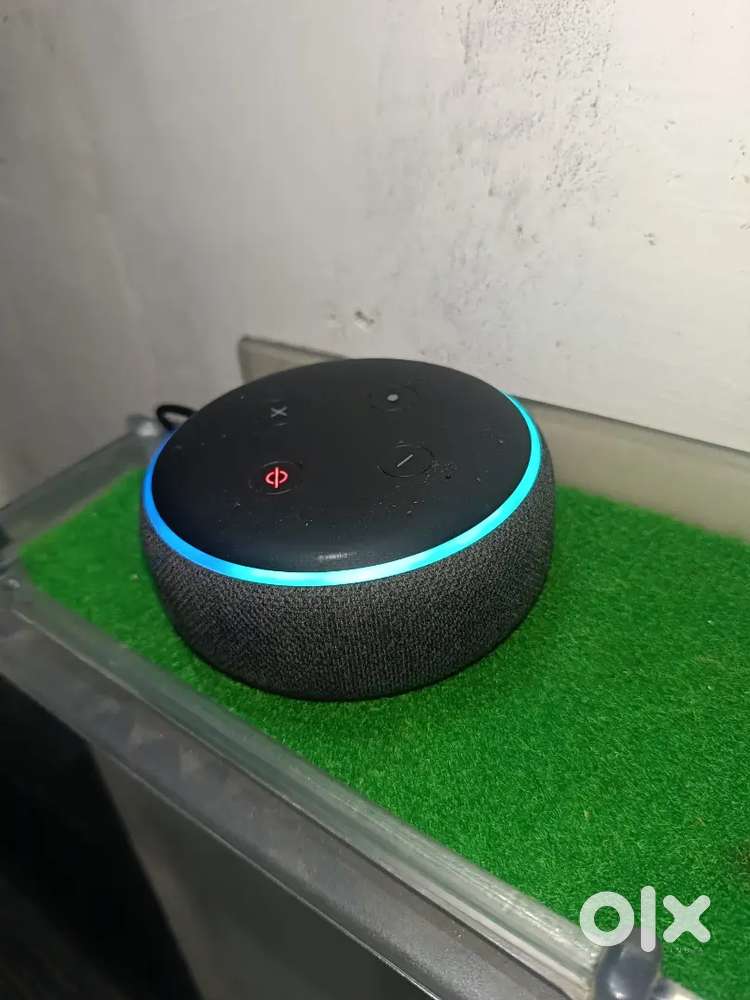 Alexa eco dot