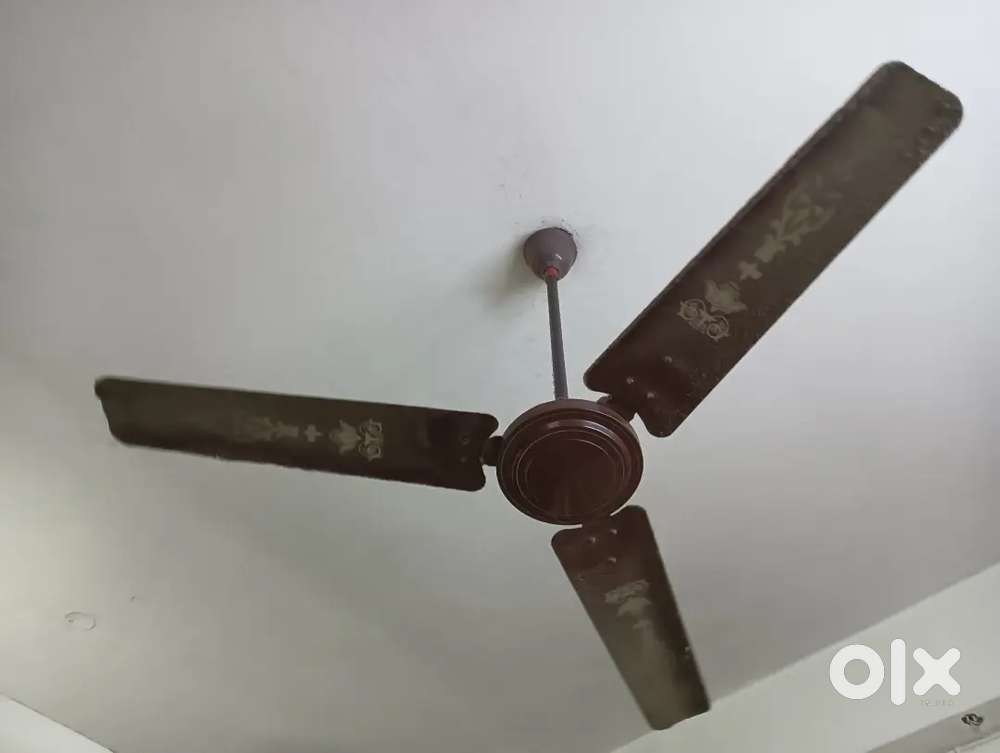 Fan for sale