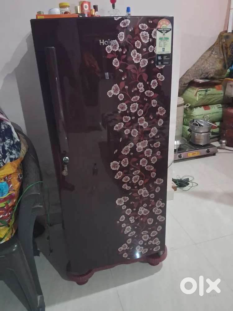 Haier India's no 1 company