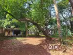 Old Heritage house with Land