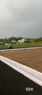 Low budget land only