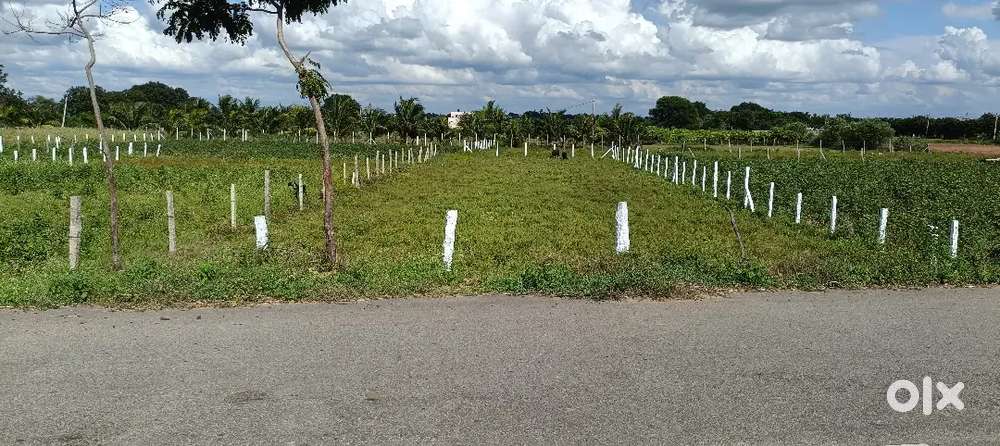 9 guntalu farm land sale 1 km near to kondapochamma sagar resevoir