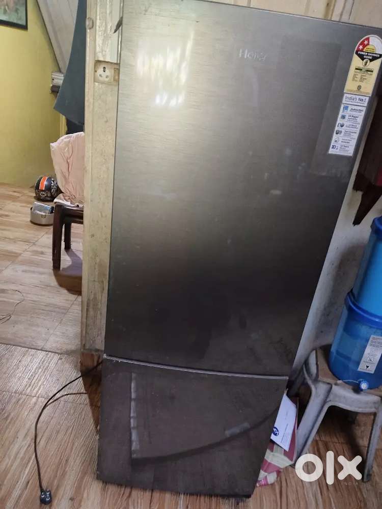 Full  new 1 year old