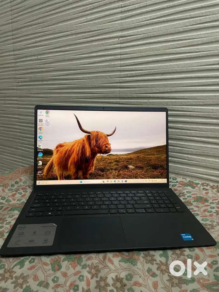 Dell laptop