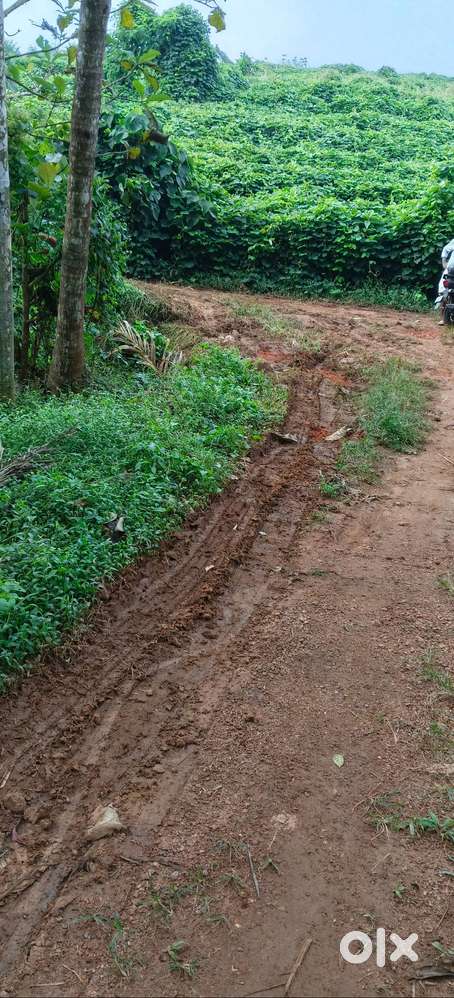 Plot for sale Palakkad mangalam dam