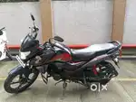 Honda Shine SP 125