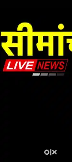 News Anchor (Female)