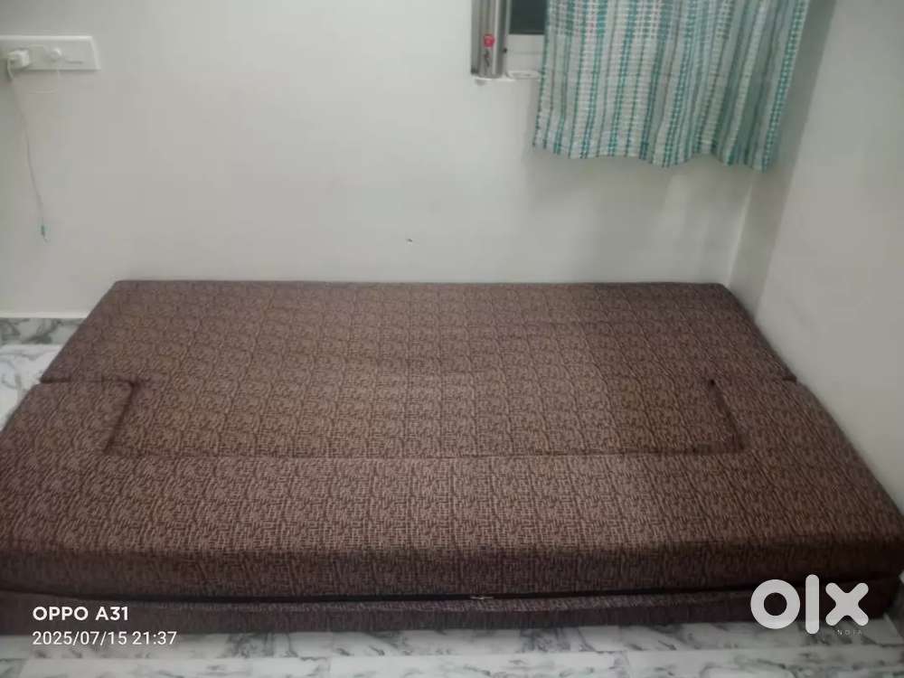 Sofa cum Bed